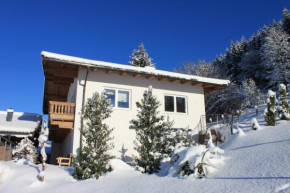 Apartment Am Birkenweg Oberndorf In Tirol